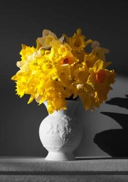 Vase of daffodils on grey Stock Photos