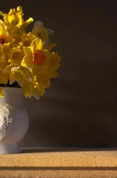 Vase of daffodils Stock Photos