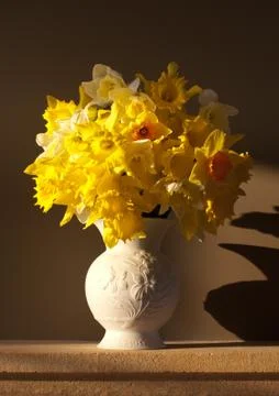 Vase of daffodils Stock Photos