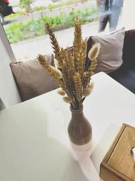 Vase with ears of wheat Stock Photos