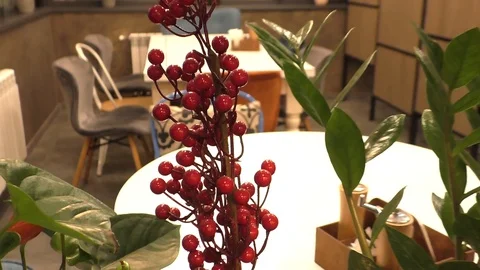 A vase filled with flowers sitting on a table Video stock 129578740