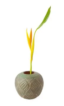 Vase flower Stock Photos