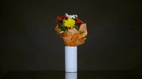 Vase with flowers exploding, Ultra Slow Motion Video stock 86698575