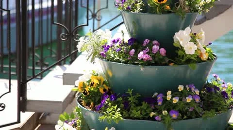 Vase with flowers Stock Footage 10922420