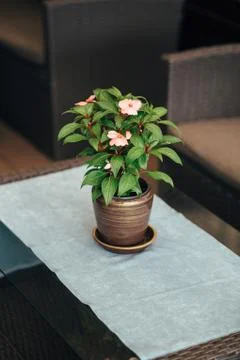 Vase of flowers Foto stock