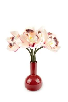 Vase of flowers Stock Photos
