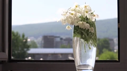 A vase of flowers stands on the window of a multi-storey building Stock-Footage 243103968