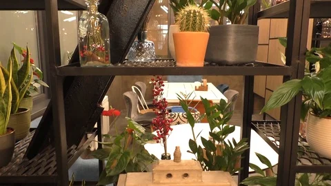 A vase of flowers on a table Stock Footage 129579422