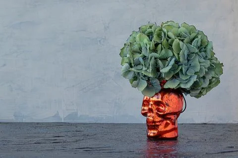 Vase in the form of a skull with hydrangea instead of hair. background for ha Stock Photos
