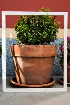 Vase with frame around Stock-Fotos