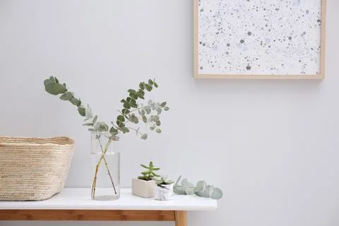 Vase with fresh eucalyptus branches on table in room. Interior design Stock Photos