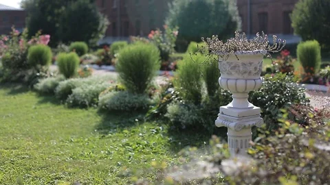 Vase in the garden Stock Footage