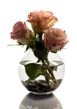 Vase with orange roses Stock Photos