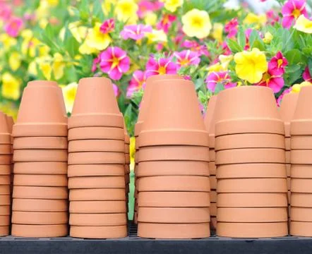 Vase Stock Photos