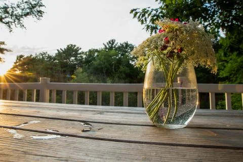 Vase on a Picnic Table at Sunset Foto stock