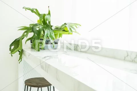 Vase plant decoration Stock Photos