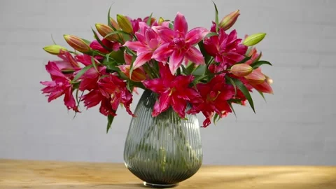 A vase of red flowers sits on a table Stock Footage 297775450