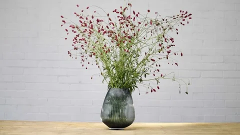 A vase of red flowers sits on a table Stock Footage 297776154