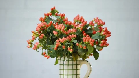 A vase of red flowers sits on a table Stock Footage 297776217