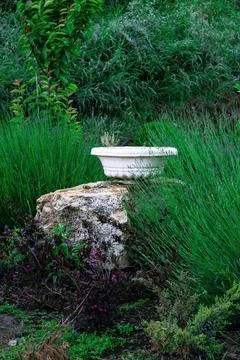 Vase on rock Stock Photos
