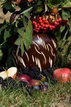 Vase with rowan and fruit background Stock Photos