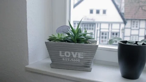 Vase slide interior in winter - multiple clips - parallax and establishing shots Stock Footage 84302077