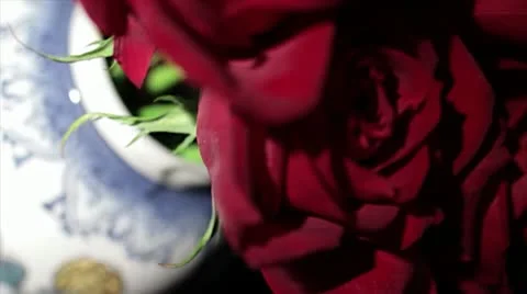 Vase smash Video stock 11515311