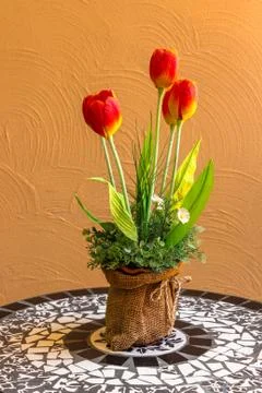 Vase of tulips on table.. Stock Photos