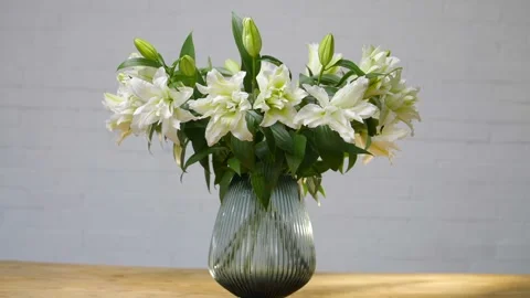 A vase of white flowers sits on a table Stock Footage 297775872