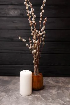 Vase with willow branches on dark background. Natural rustic morning. 스톡 사진