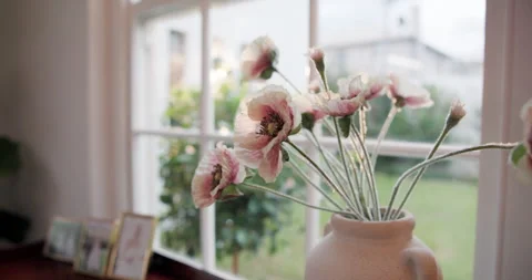 Vase, window and flowers in empty home for bloom, decoration or floral growth in Stock Footage 337691691