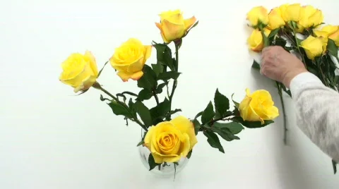 A vase of yellow roses Stock Footage