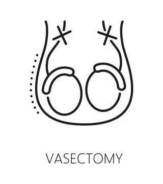 Vasectomy contraception method line icon or label Stock Illustration