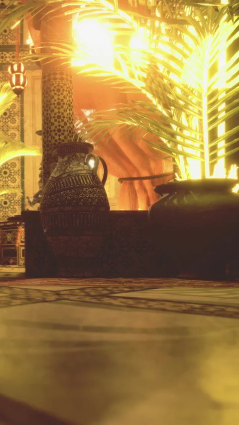 Vases and plants in a warm setting with bright light filtering through Stock Footage 331768143
