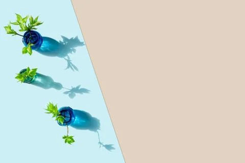 Vases with branches in the background Stock Photos