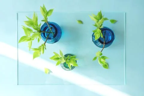 Vases with branches in the background Stock Photos