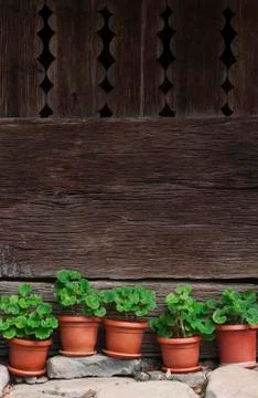 Vases with green plants next to a traditional wooden fence Stock Photos