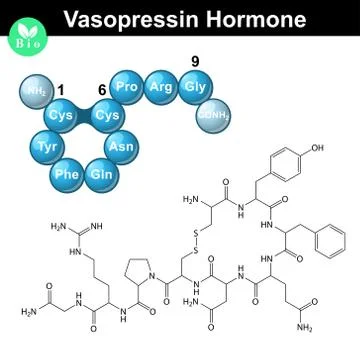 Vasopressin molecular structure Stock Illustration