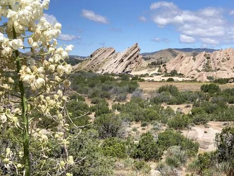 Vasquez Rocks with Flowering Tree in Foreground Long Shot Stock Photos