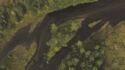 The Vassfaret forest Vídeo Stock 94492163