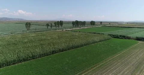 Vast Agricultural Fields Under an Expansive Sky Stock Photos