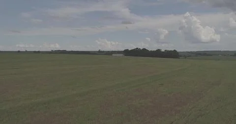 Vast Agricultural Fields Under an Expansive Sky Stock Photos