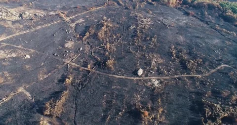 A vast and desolate landscape after a devastating forest fire, Environmenta.. Stock-Footage 317077116