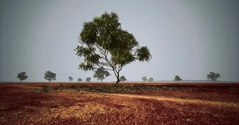 Vast arid landscape featuring a single tree with distant horizon view Stock Illustration