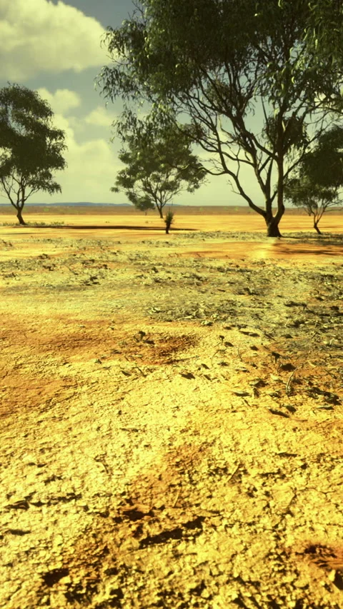 Vast arid landscape with scattered trees under a brilliant blue sky Vídeos de archivo 313612236