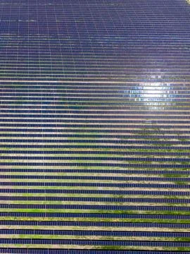 A vast array of solar panels is spread across a field. Grass grows between th Stock Photos