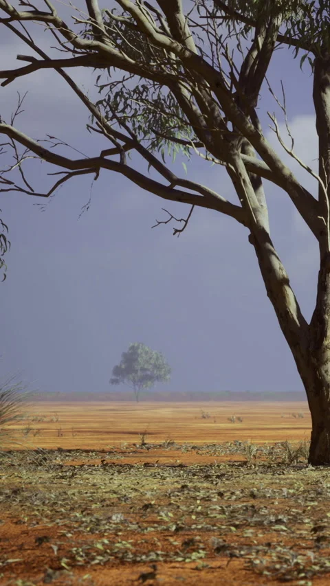 Vast australian outback with a lone tree under a cloudy sky Stock Footage 334050822
