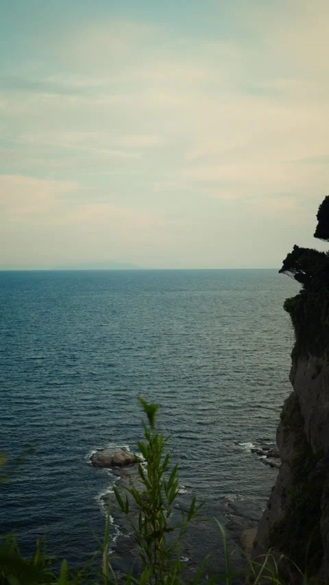Vast blue ocean and steep cliff view with foreground plant blur Stock Footage 345793986