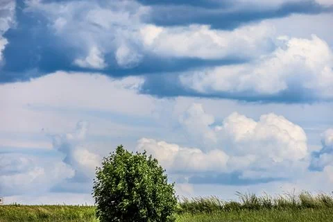 Vast blue sky with dramatic clouds over a green grassy field and a lone tree Stockfoto's