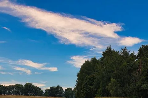 Vast blue sky with wispy clouds over a dense forest and harvested field Fotos Stock